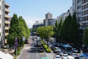 富士見市でおすすめの税理士事務所5選【最新】
